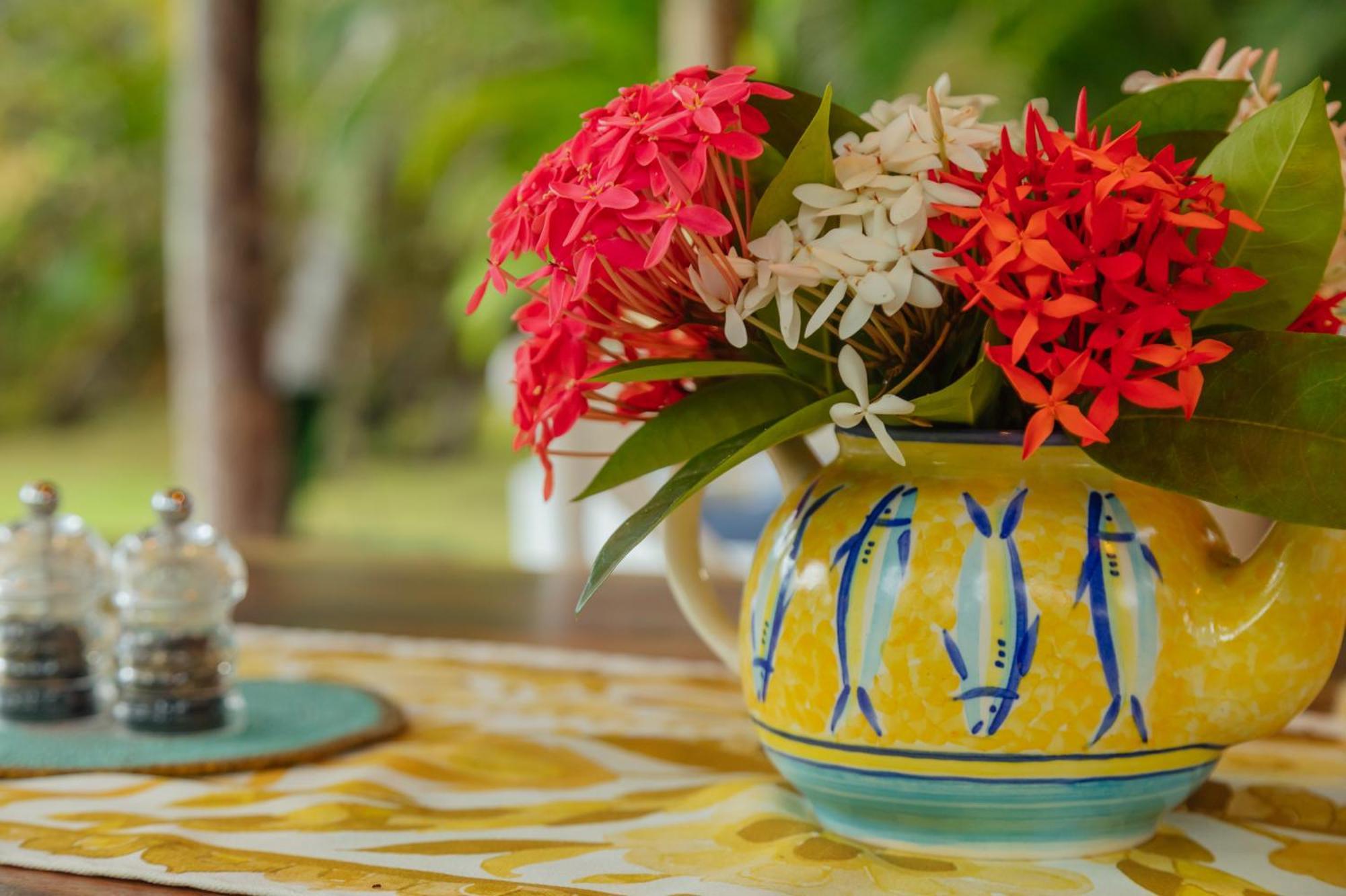 Solea Villa Tropical ซันตามาร์ตา ภายนอก รูปภาพ