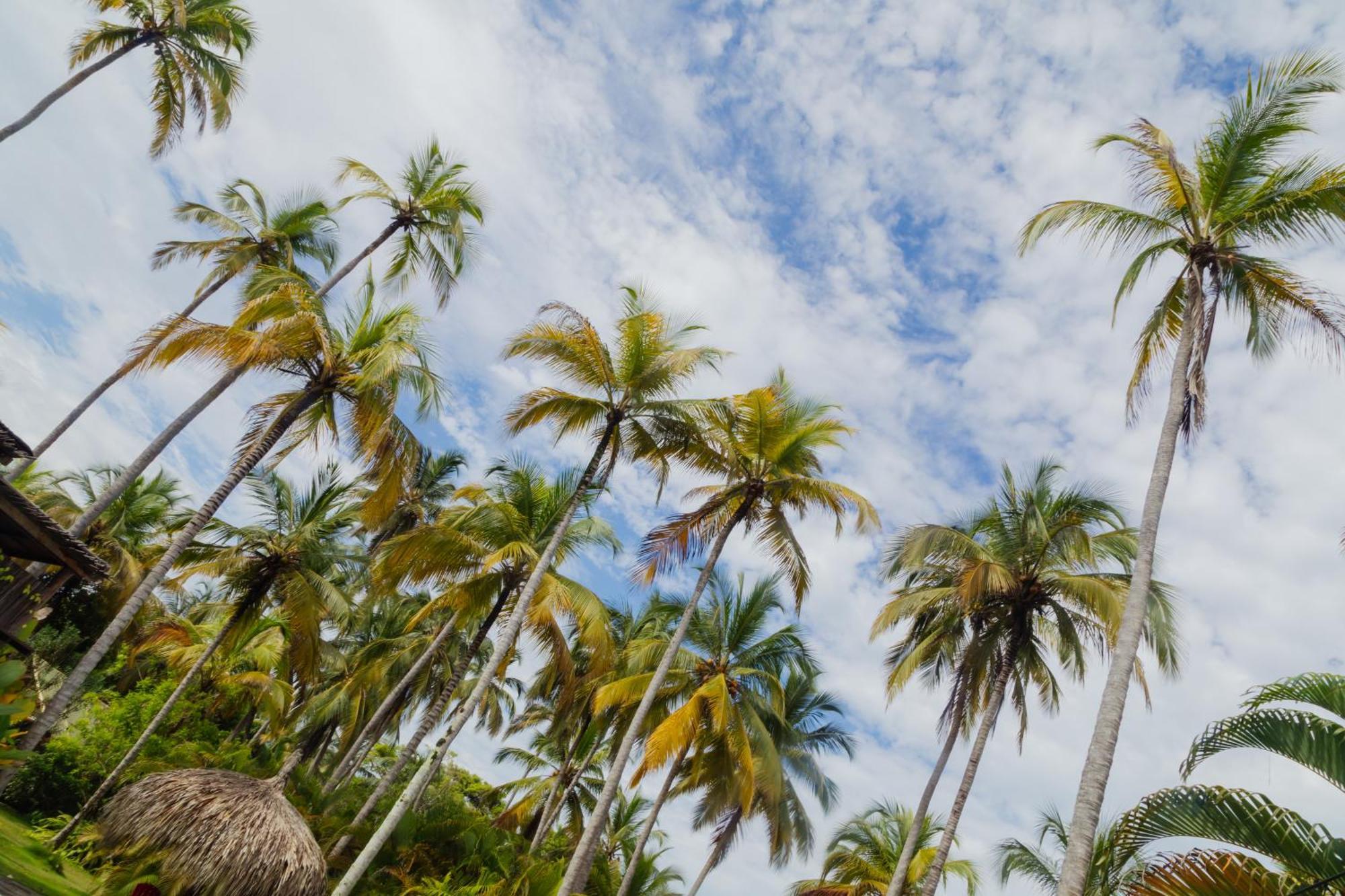 Solea Villa Tropical ซันตามาร์ตา ภายนอก รูปภาพ