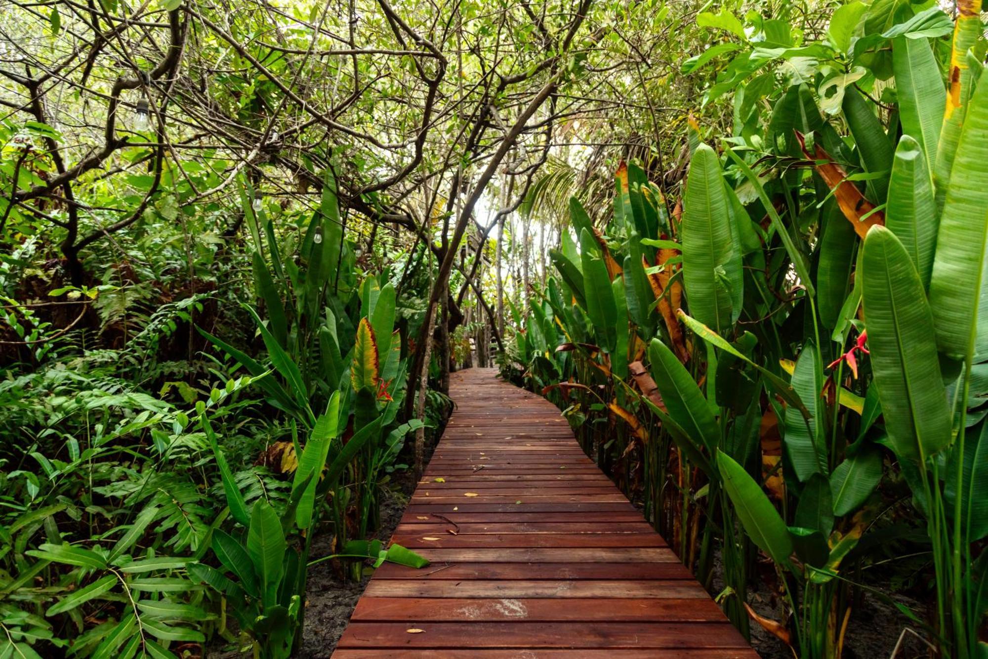 Solea Villa Tropical ซันตามาร์ตา ภายนอก รูปภาพ